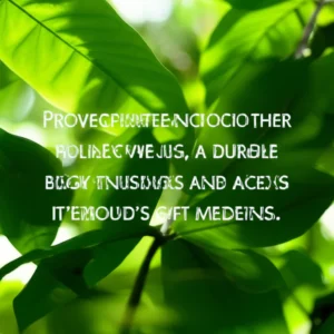 Featured image for 150 Inspirational Positive Affirmations to Transform Your Mindset in 2026